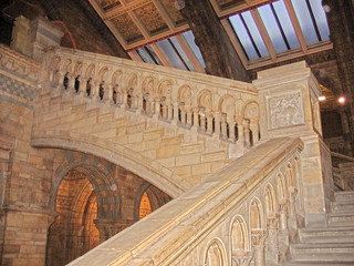 Obraz premium staircase in the natural history museum