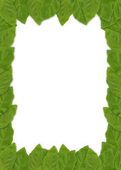 frame made of leafs