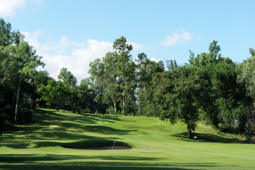 pres et prairie verte