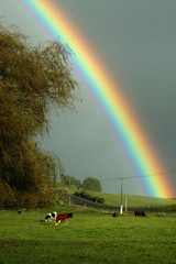 rural rainbow