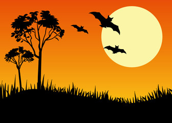 paysage halloween