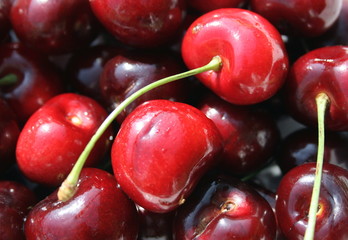 fresh cherries
