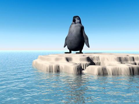 little lost penguin 7