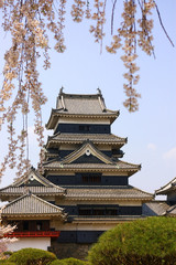 a traditional Japanese castle with cherry blossom in foreground