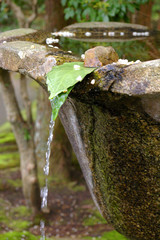 water feature in a temple in Kyoto