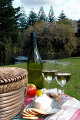 summer picnic 2