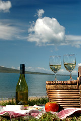 summer picnic