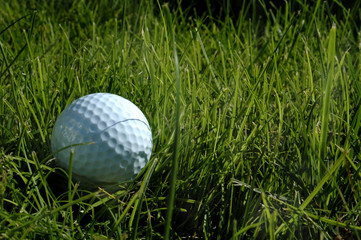 golf ball in grass