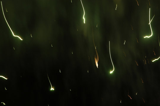 espermatozoides-01