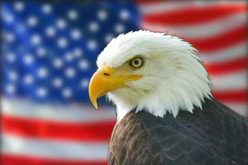 Crédence de cuisine en verre imprimé Aigle drapeau américain de pygargue à tête blanche