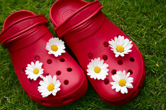 rote clogs mit margeriten