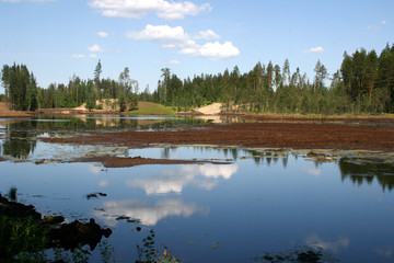 landscape