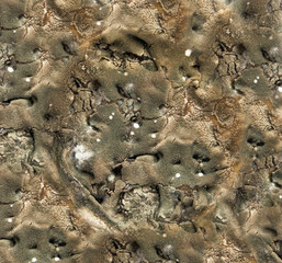mold texture