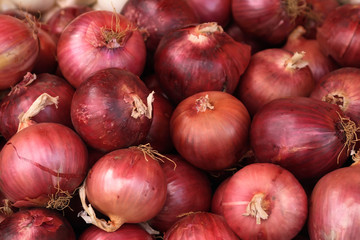 close-up of red onions