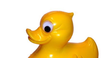 yellow duckling