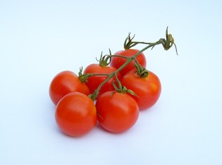 tomate 02