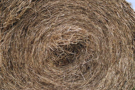 paille en rond