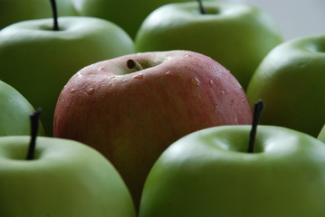 appels