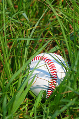 lost baseball (vertical)