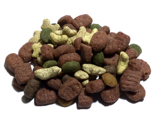 food for cat