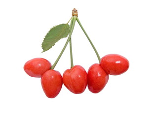 cherries twins - isolated