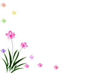 flower background