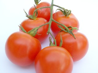 tomate 01