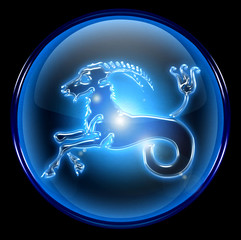capricorn zodiac button
