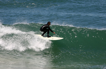 surf