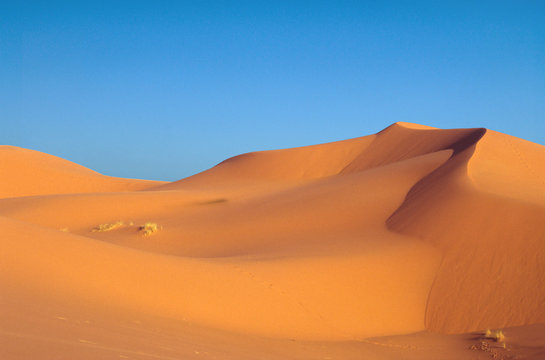 4 272 Best Sahara Maroc Images Stock Photos Vectors Adobe Stock