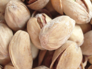 Pistachio1
