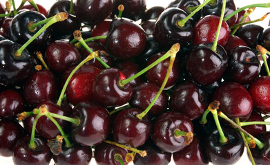 fresh sweet cherries