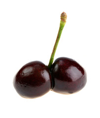 ridiculous berries of a sweet cherry