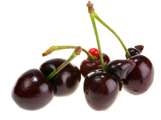 ridiculous berries of a sweet cherry