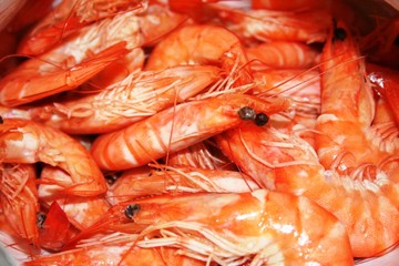 crevettes