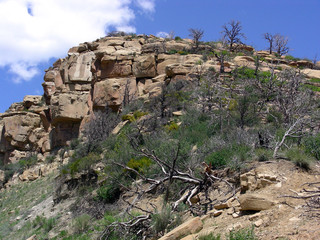 rock, trees and sky
