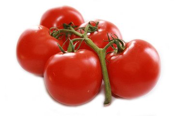 bunch of tomatoes
