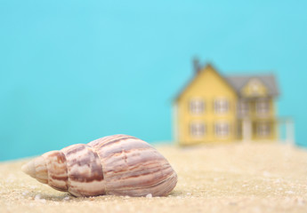 Sea Shell and Beach House