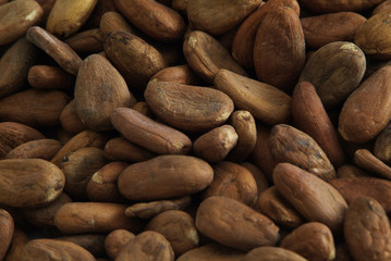 cacao beans closeup2