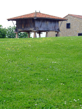 Almac&eacute;n de granos y frutos del campo