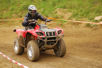quad5