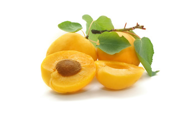 apricot
