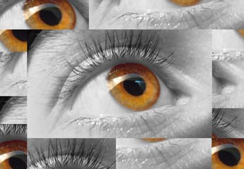 collage auge