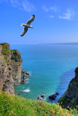Rocky shore in Port Isaak, Cornwall, UK