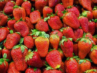 Erdbeeren