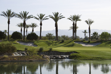 Fototapeta na wymiar Palm Springs Golf Course 3