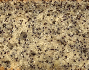 A scan of some poppy seed cake