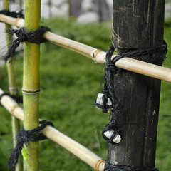 Jardin japonais 4