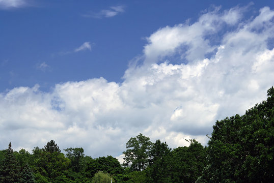 Cloudscape with trees against a rich blue sky