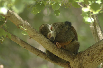 Rest
